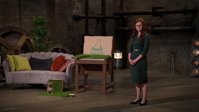 Piddle Patch: what is grass toilet for dogs featured on Dragons’ Den, how does it work and what does it cost? 