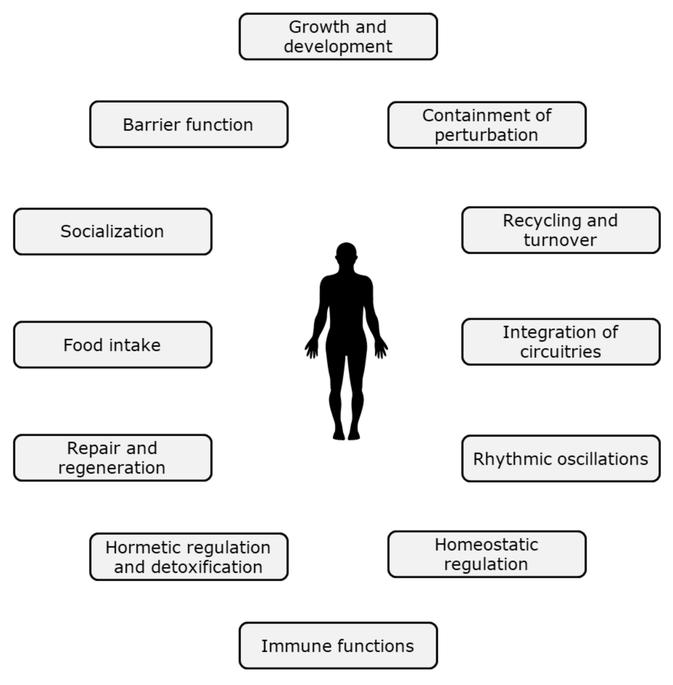 How sound and vibration can help optimise performance, break mental barriers and heal injuries 