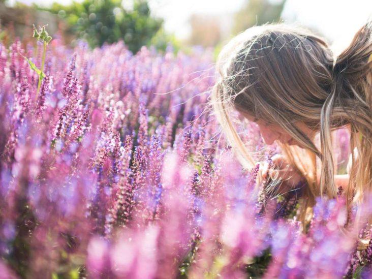 Can lavender pills *really* help with anxiety? 