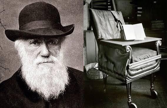 Vintage View: How Charles Darwin led the way in the evolution of the office chair