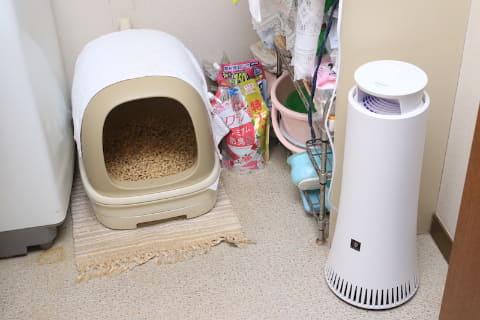 消臭力ヤベー!!! 猫のトイレが匂わなくなった宇宙技術の消臭除菌機が衝撃! 
