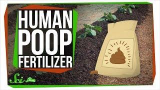 5 Surprising Uses for Recycled Poop 
