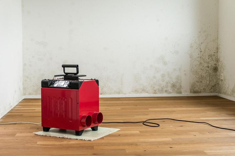 Will a dehumidifier in a basement help upstairs? 