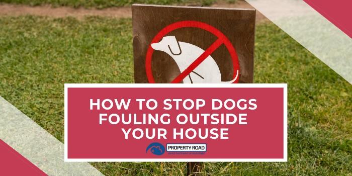 How To Stop Dogs Fouling Outside Your House