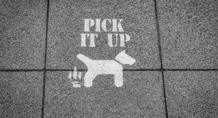 How To Stop Dogs Fouling Outside Your House 