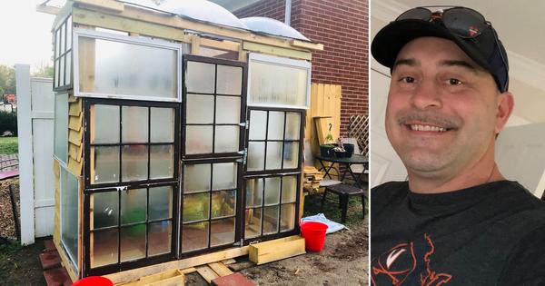 Dad builds his own greenhouse from old windows for under £70