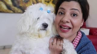Sambhavna Seth posts video of her dog watching her clip on laptop