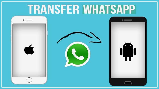 How to transfer WhatsApp chats from iPhone to Android Phone 