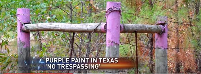 If You See a Painted Purple Fence, This Is What It Means 