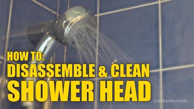 Watch: How to descale a shower head 