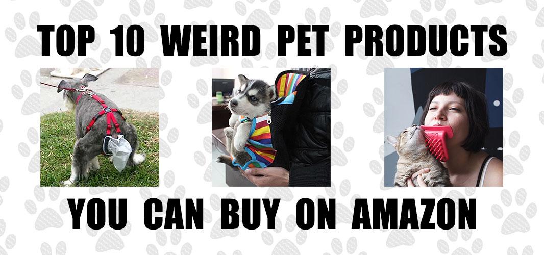40 weird things for dogs & cats on Amazon that are totally genius