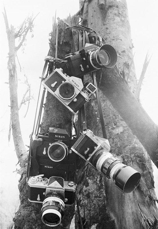 How the Nikon F Revolutionized Photography 