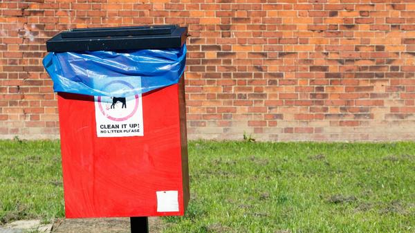 Nearly three-quarters of UK dog owners think there aren't enough public poo bins 