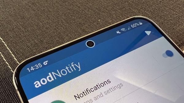 How to turn your Galaxy S22's punch hole into a notification light