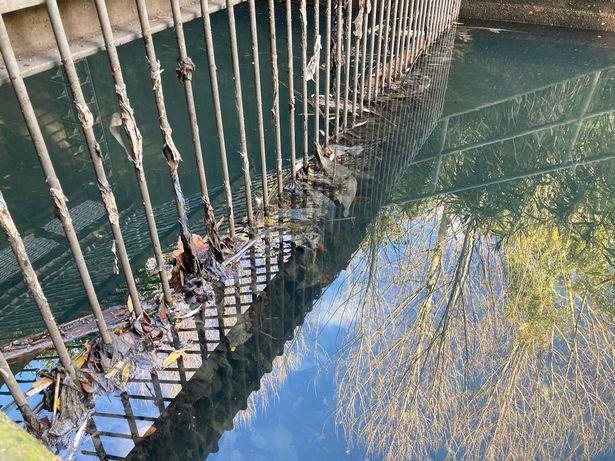 London park covered in condoms and toilet roll after sewage flows into canal