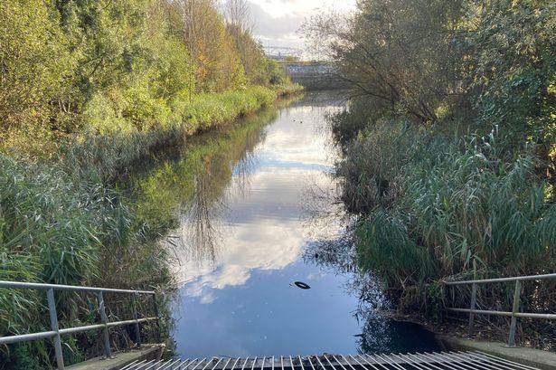 London park covered in condoms and toilet roll after sewage flows into canal 