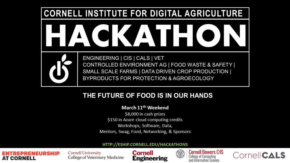 Cornell Chronicle Teams take a crack at world food issues at digital ag hackathon 