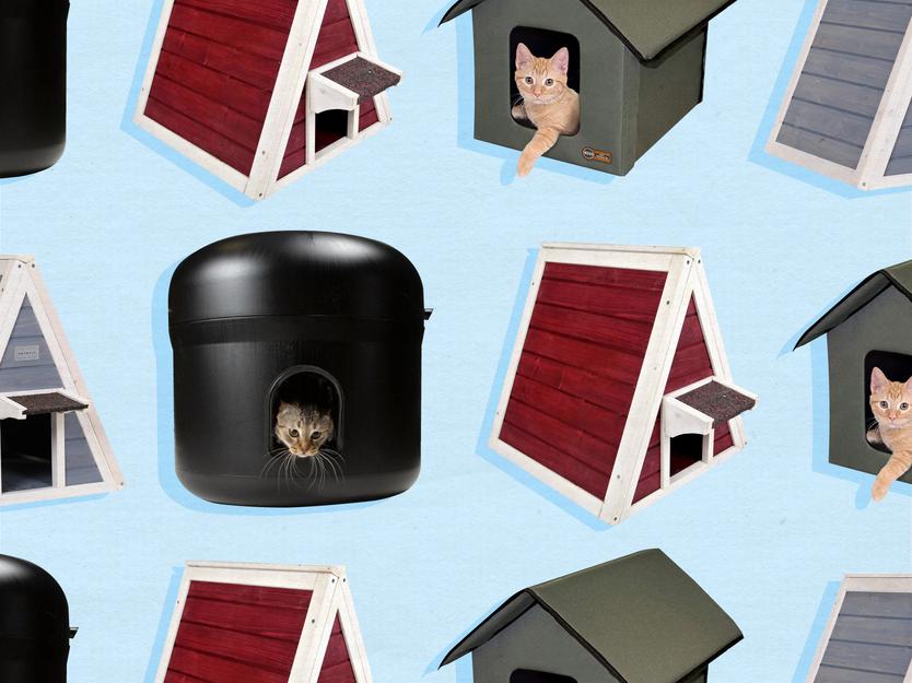 The 6 best outdoor cat houses to keep them warm and dry