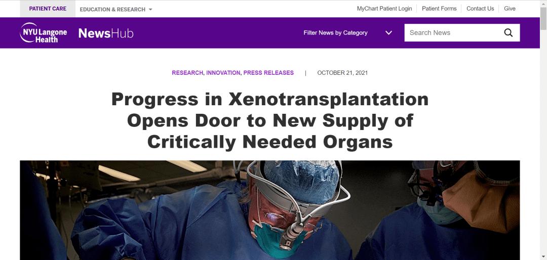 Progress in Xenotransplantation Opens Door to New Supply of Critically Needed Organs | NYU Langone News