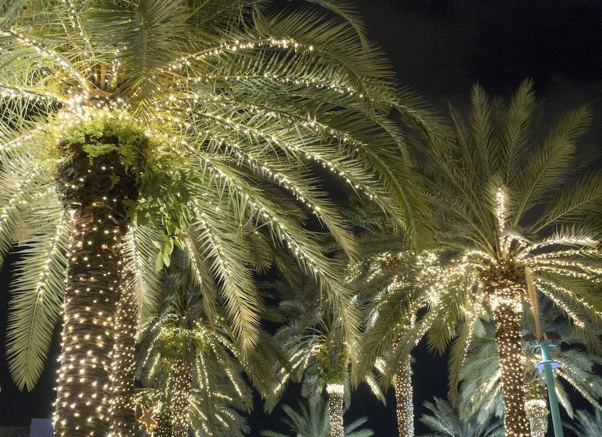 How to embrace a Florida Christmas 