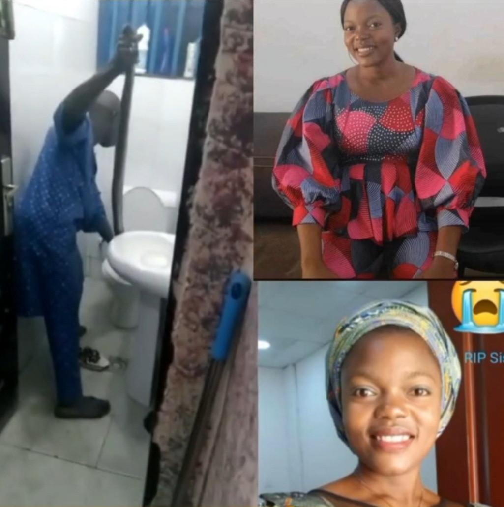Woman dies after being bit by venomous snake hiding in her toilet 