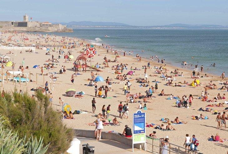 Year round popularity of beaches creating issues at toilets
