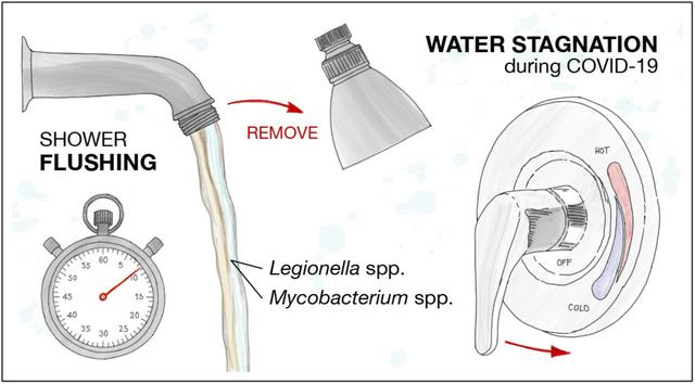 Study: No deadly Legionella strain in closed U of M buildings’ water COVID-19 in Minnesota 