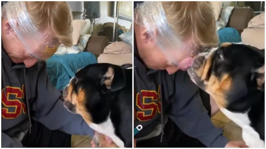 Watch This Dog Owner Use a Peanut Butter Head Wrap to Make Bath Time Go More Smoothly 