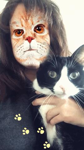 The Snapchat cat filter shows how little we know about cat cognition 