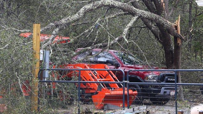 'The storm has a mind of its own': Suspected tornado downs trees, damages homes in Holt 