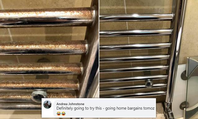 Mum's amazement at making 'disgusting' rusty towel rail look good as new for just £1 