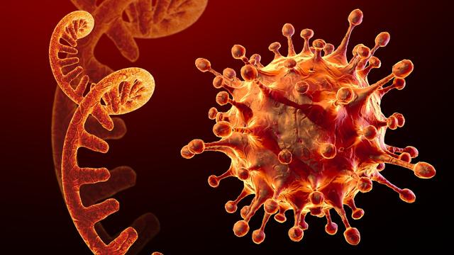 Here’s All to Know about Norovirus 