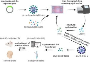 Combine and Conquer: A Treatment Strategy to Combat Drug-Use Associated Infections 