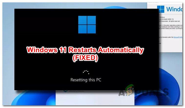 Here’s why you should never restart your PC while upgrading to Windows 11 