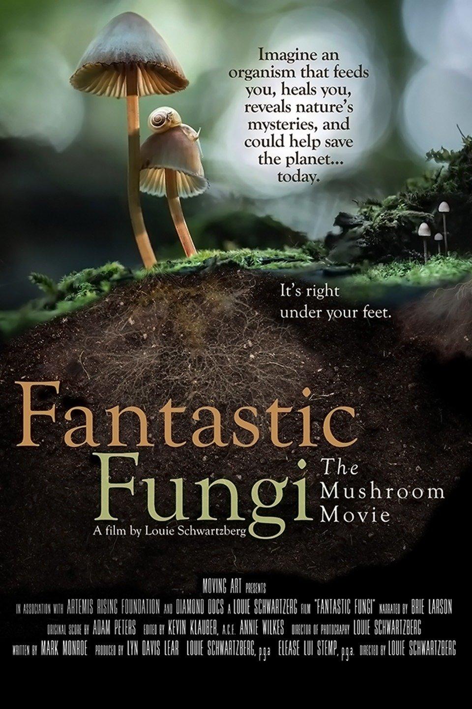It’s time to fear the fungi 