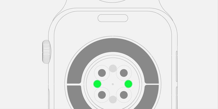 screenrant.com Green Lights On Apple Watch: What They Mean & How To Turn Them Off