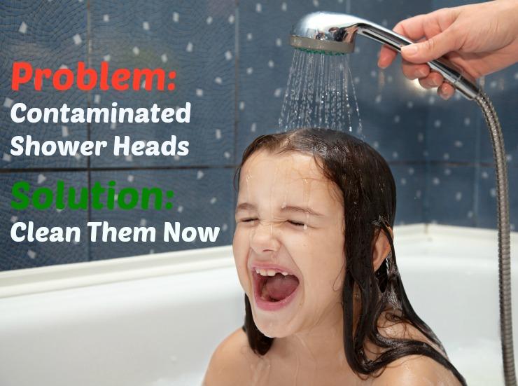 Your Showerhead May Be Bathing You in Risky Germs 