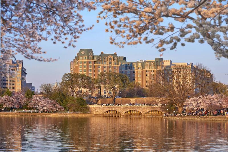 The 11 best hotels for a spring vacation, from Dutch tulips to Washington, DC’s cherry blossoms