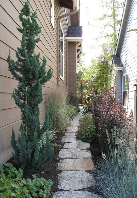 Columnar trees work well in smaller garden spaces 