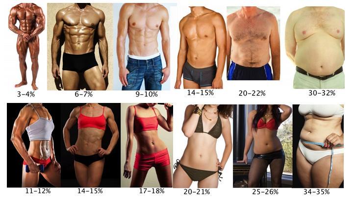 Quantity body fat percentage 6 methods