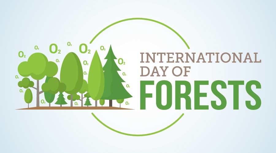 Tips For Greening Restrooms Ahead Of International Day Of Forests
