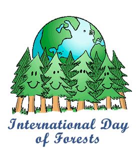 Tips For Greening Restrooms Ahead Of International Day Of Forests 