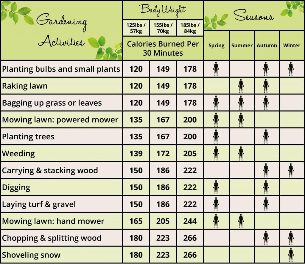 Which garden chore burns the most calories? You CAN get fit with gardening 