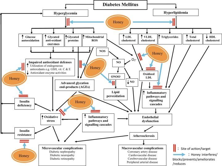 What are the chronic complications of type 2 diabetes mellitus? 