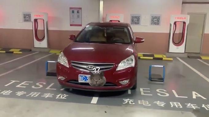 Tesla drivers are finding shameless Supercharger ICE treatments in China