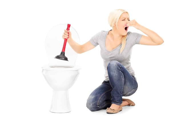 Everyday cheapskate: How to unclog a toilet -- quick and easy