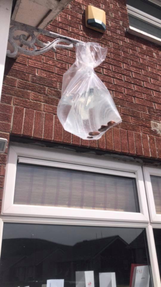 Mum’s unbelievable 'bag' hack to banish flies - using no chemicals at all