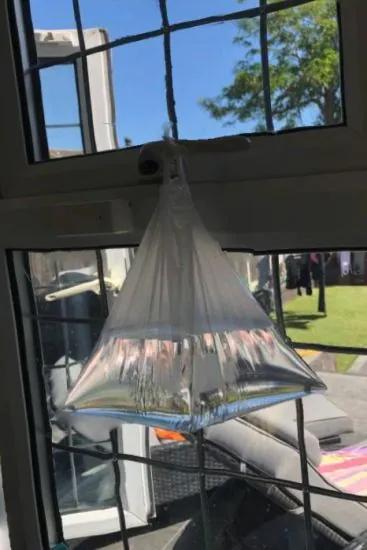 Mum’s unbelievable 'bag' hack to banish flies - using no chemicals at all 