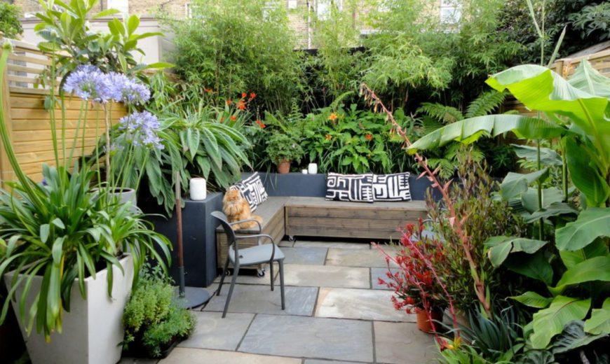 Transforming your outdoor living space into a garden oasis