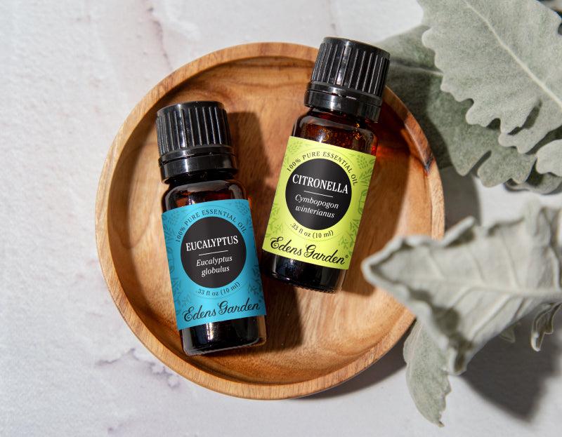 9 Best Essential Oil Brands to Reset Your Home and Mind 
